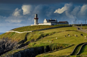 Вся семья там: депутат из Курземе решила эмигрировать в Ирландию