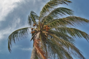 В Греции во время урагана пропали три человека