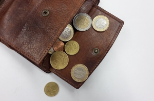 СГД: чтобы пенсия составила 1000, нужно зарабатывать 1800 евро в месяц