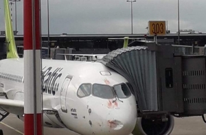 «Что же это? Олень?»: в Twitter обсуждают снимок окровавленного самолета