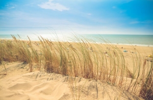 Синоптики прогнозируют жару в Латвии до +27 градусов