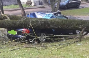 «Наказан за парковку на газоне»: в Даугавгриве автомобиль придавило деревом