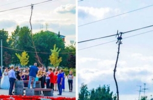 Неудачный день в картинках (20 фото)