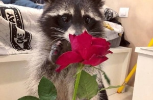 Веселые картинки и фото-приколы (43 шт)