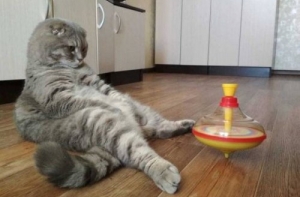 Подборка приколов (22 шт)