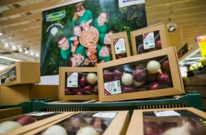 Патриотичность со слезами на глазах: латвийцам предлагают лук столетия