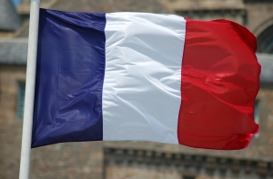 Во Франции душевнобольные получат право голоса