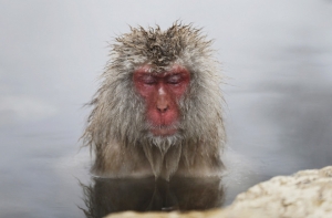 В Японии стали приплачивать сотрудникам за здоровый сон 