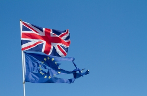 Новгородцев на Baltkom: выход Британии из ЕС - серьезная трагедия