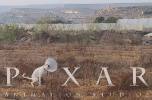 20+ человек, которые способны создать меткую пародию на что угодно