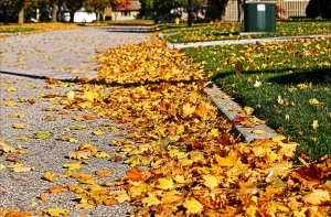 Сегодня самое теплое 14 октября в истории Латвии