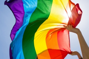 Впервые в истории в Сейм избраны два открытых гея