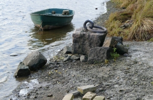 Bezvests.lv провели тренировки по поиску утонувших людей