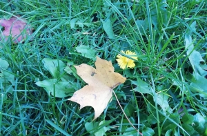 Готовы к рекорду? Синоптики обещают солнце и летнее тепло