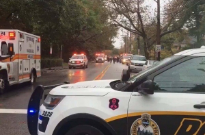 Стрелявший в американской синагоге задержан: погибли 8 человек