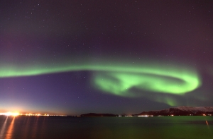 Умер автор термина «частица Бога» Леон Ледерман