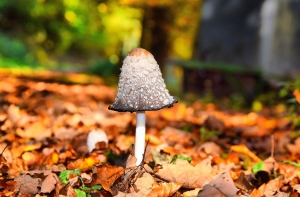 Мороз и солнце: синоптики обещают похолодание