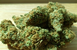 В Канаде выписали первый штраф за неправильное употребление марихуаны