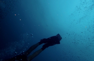В водах Гауи пойман водолаз с гарпуном