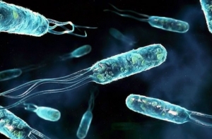 Европе предсказали эпидемию страшного заболевания