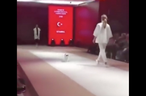 В Турции кошка поучаствовала в модном показе