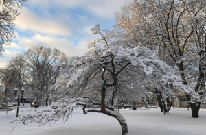 Очередной рекорд: в Латвии похолодало до -17