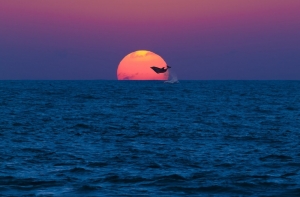 20 расслабляющих фото, на которых минимум деталей и максимум смысла