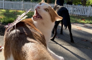 Смешно до упаду: фото из сети