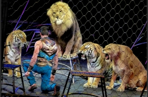 В Риге впервые пройдет шествие в защиту животных