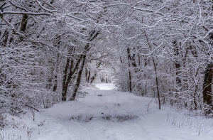 В Польше пять человек замерзли насмерть за минувшие сутки