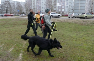 Bezvests.lv продолжает тренировки: собак обучили поискам пропавших людей