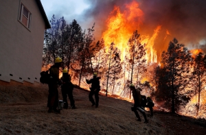 В Калифорнии локализован самый разрушительный пожар в истории штата