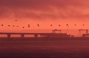 Совбез ООН заблокировал рассмотрение вопроса об инциденте в Азовском море