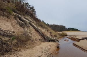 В Саулкрасты обрушилась знаменитая Белая дюна