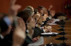 Депутаты продолжают делить комиссии