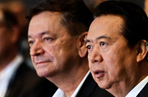 Литва покинет Интерпол, если Россия возглавит организацию