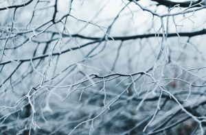 Синоптики рассказали, когда в Латвии наступит настоящая зима