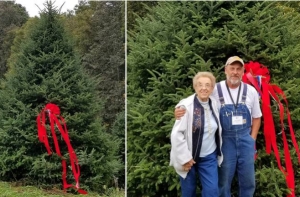 В Белом доме выбрали слишком «естественную» рождественскую елку