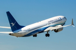 Экипаж рухнувшего в Индонезии Boeing до конца боролся за контроль над лайнером