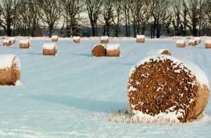 В селах Латвии не хватает питьевой воды, с морозами ситуация ухудшится