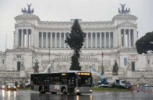 Жители Рима раскритиковали главную рождественскую елку столицы