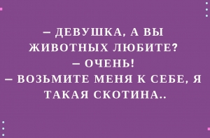 Ежедневная подборка новых смешных анекдотов