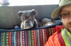 Подборка прикольных картинок, супер! (34 шт)