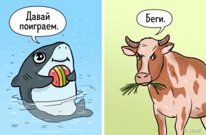 11 вещей, которые оказались безопаснее, чем мы думали (Акулы в сравнении с коровами вообще ангелы)