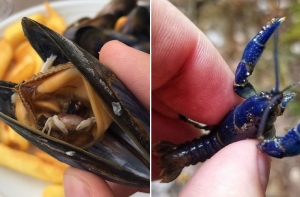 25 удивительных вещей, которые попались на глаза искателям приключений