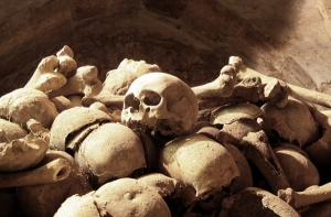 Вход через кладбище: у дверей Сейма найдены скелеты средневековых бедняков