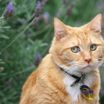 С такими эмоциями им бы в кино сниматься!