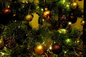 Жители Латвии все чаще предпочитают брать елки напрокат