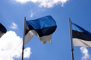 В Эстонии приравняли к преступлению негативное отношение к стране