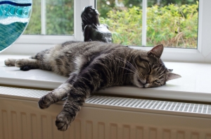 Rīgas siltums увеличит тариф на тепло на 12,6%